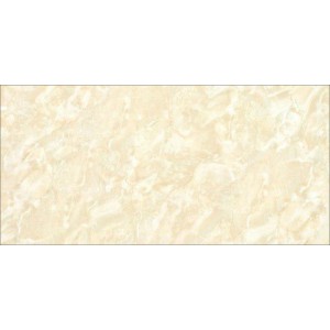 Gạch ốp tường Trường Thịnh WALL TILES G62005